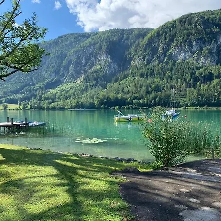 Seestern-mondsee *