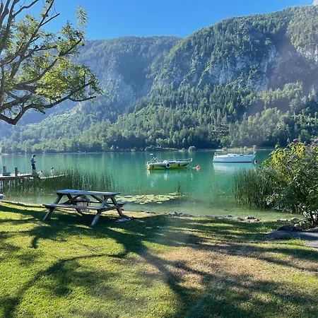 Apartment Seestern-mondsee Unterach am Attersee