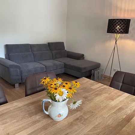 Seestern-mondsee 公寓 阿特湖畔翁特拉赫